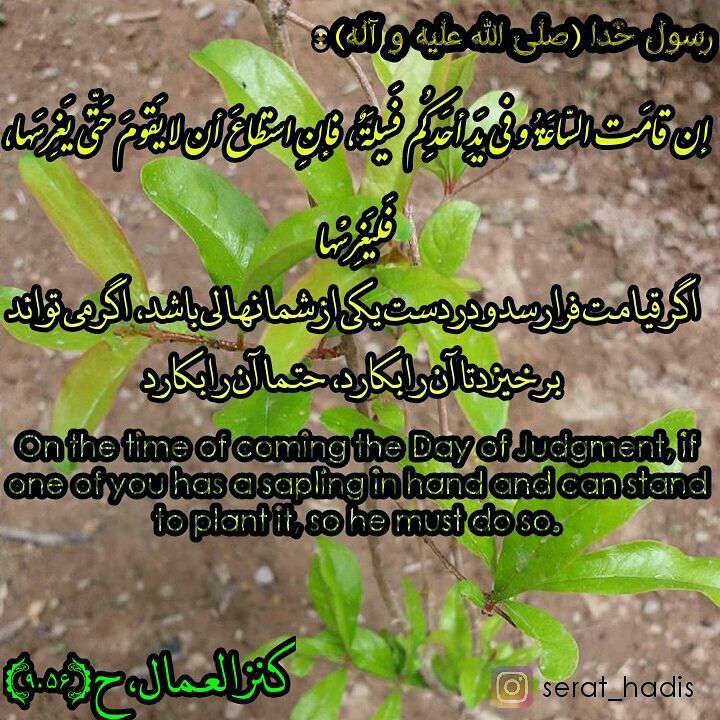 حدیثی از رسول اکرم در مورد قیامت